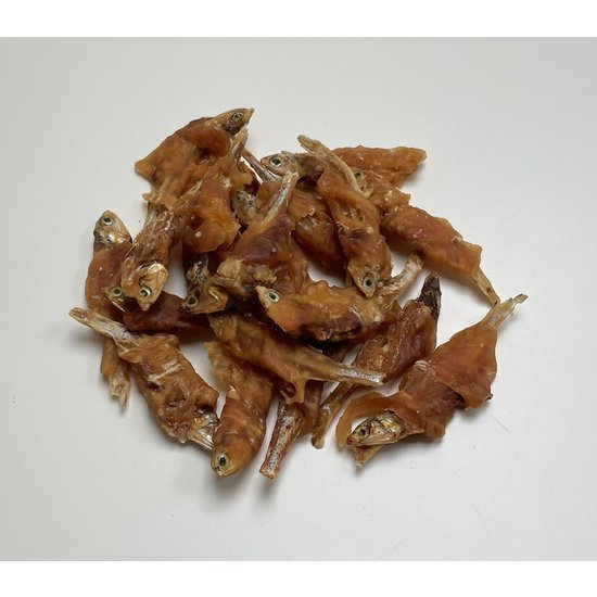 rybička s kuřetem.JPEG